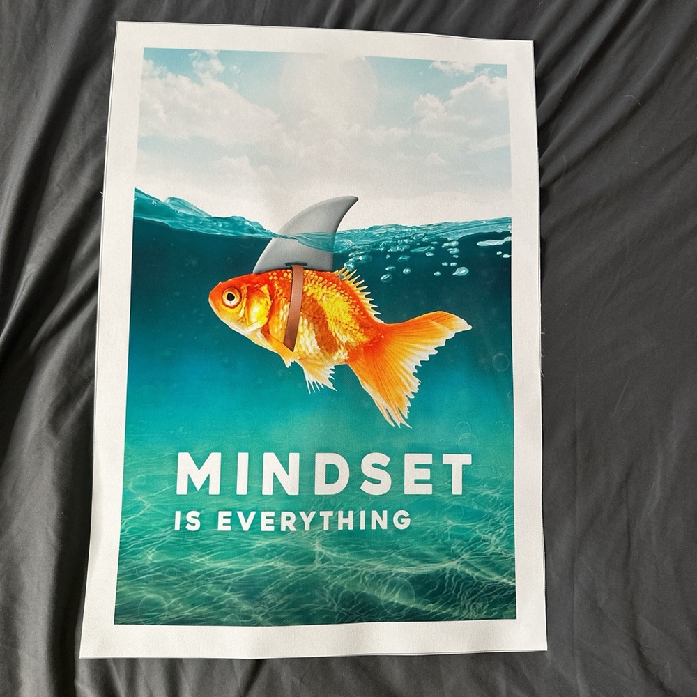 Goldfish Mindset canvas print wall art no frame 40cm x 60cm
